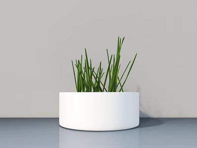 Bonsai Potted Plant With White Round Pot Green Slender Grass Modern Minimalist Light Grey Wall 3d model