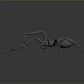 Realistic Gray Spider 3D Model With Detailed Legs And Smooth Surface