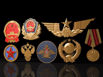 Variety Of Decorative Badges With Gold Star Wing And Multicolored Pattern Designs 3d model