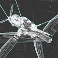 Vintage Passenger Aircraft 3D Model With Propeller Cockpit And Red Accent Wings