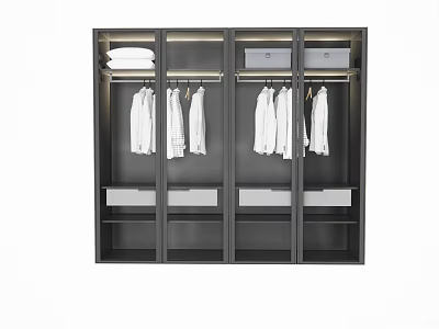 Dark Modern Wardrobe Interior Design With Hanging Shirts Drawers And Stacked Clothes 3d model