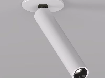White Cylindrical Modern Ceiling Mounted Downlight Spotlight For Home Indoor Lighting 3d model