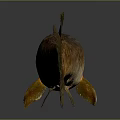 Brown Spotted Fish With Yellow Fins And Slender Body On Gray Background