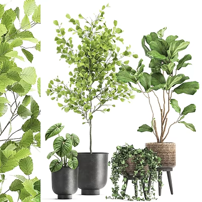 Lush Green Potted Plants With Various Leafy Species And Decorative Planters 3d model