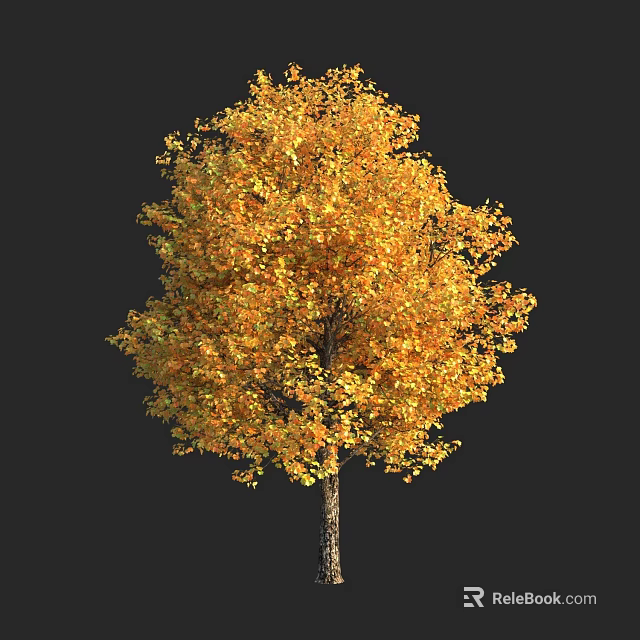 Golden Yellow Leaf Arbor With Brown Trunk In Autumn On Black Background 3d model 