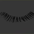 Long Thin Shiny False Eyelashes For Eye With Gray Gradient Background And Reflection 3d model