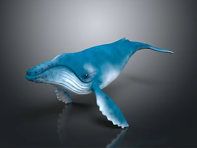Blue Whale In Underwater Scene With Smooth Skin And Reflective Surface 3d model