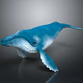 Blue Whale In Underwater Scene With Smooth Skin And Reflective Surface