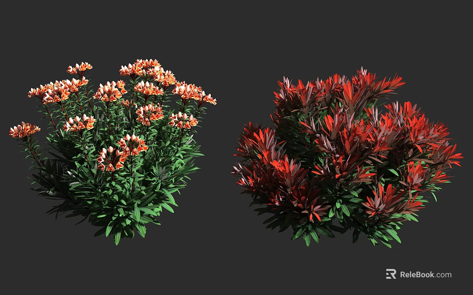 Vibrant Red And Orange Flowering Garden Shrubs With Lush Green Foliage 3d model 
