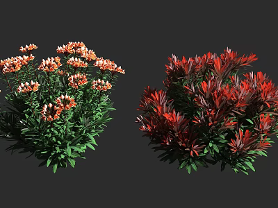 Vibrant Red And Orange Flowering Garden Shrubs With Lush Green Foliage 3d model