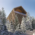 Detached Villa with Illuminated Gabled Roof Surrounded by Snow-Covered Pine Trees