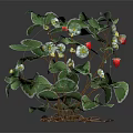 Fresh Strawberry Plant with Green Leaves White Flowers and Red Fruits