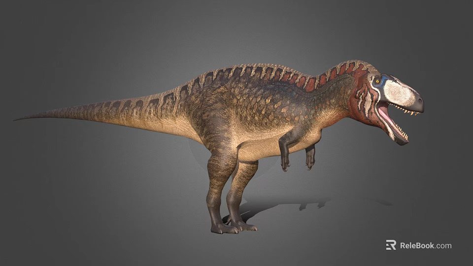 Large Theropod Dinosaur With Back Sail Open Mouth And Colorful Skin 3d model 