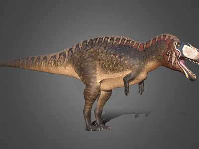 Large Theropod Dinosaur With Back Sail Open Mouth And Colorful Skin 3d model