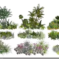 Various Green Shrub Varieties For Garden Landscaping And Outdoor Decoration Projects