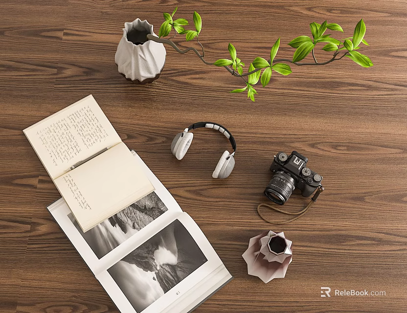 Decorative Ornament Set with Open Book Photos Headphones Camera Green Leaves and Vases 3d model 