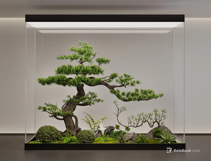 Bonsai Pine Tree in Glass Display Case with Small Plants and Rocks 3d model 