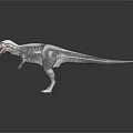 Gray White Tyrannosaurus Rex Dinosaur With Open Mouth Sharp Teeth On Dark Background
