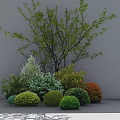 Diverse Garden Shrubs With Various Colors And Shapes In Landscape Arrangement