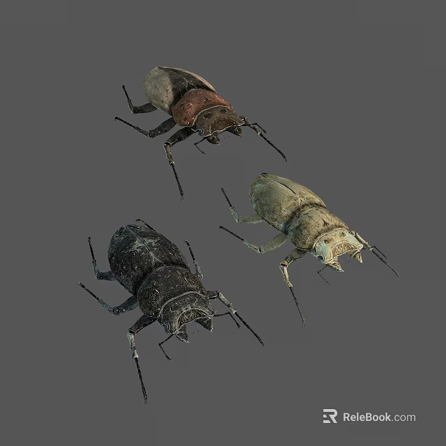 Realistic Three Different Colored Beetles with Distinctive Shells on Gray Background 3d model
