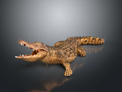 Crocodile Model With Open Mouth And Golden Brown Texture On Black Surface 3d model