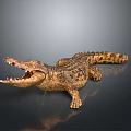 Crocodile Model With Open Mouth And Golden Brown Texture On Black Surface