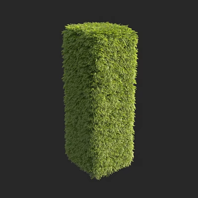 Lush Cube Shaped Green Plant Wall For Modern Interior Decor 3d model