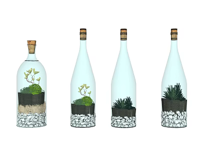 Bonsai Succulent Plants in Transparent Glass Bottles with White Pebbles and Cork Stoppers 3d model