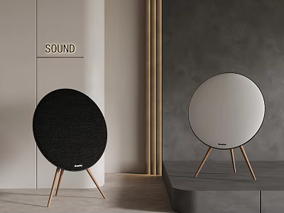 Modern Round Sound Speakers With Black White Design And Wooden Stands 3d model