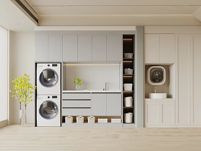 Modern Laundry Room with Stacked Washer Dryer Gray White Cabinets Sink and Decorative Plant 3d model