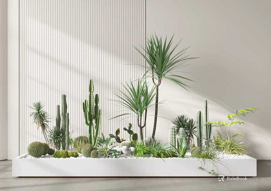 Bonsai Potted Plants With Various Cacti And Succulents In White Rectangular Planter Under Natural Light 3d model 