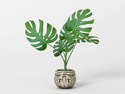 Green Leafy Monstera Potted Plant in Decorative Patterned Ceramic Pot for Modern Home 3d model