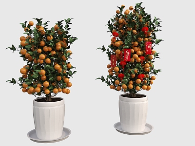 Fortune Tree Kumquat Tree Orange Tree Fruit Tree New Year Tree Red Bag Tree model