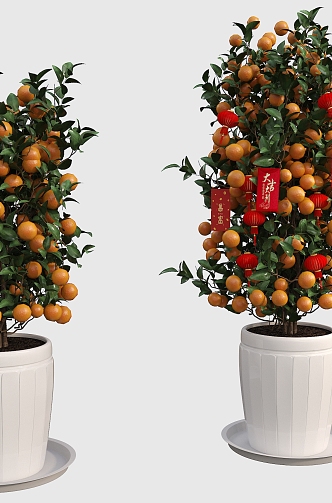 Fortune Tree Kumquat Tree Orange Tree Fruit Tree New Year Tree Red Bag Tree 3d model