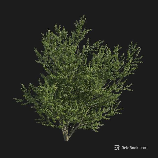 Lush Green Arbor With Dense Foliage Strong Trunk And Vibrant Leaves In Natural Setting 3d model 