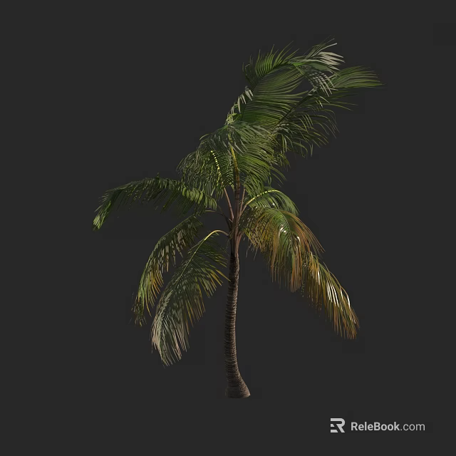 Tall Palm Tree With Green Fronds And Brown Trunk On Dark Background 3d model 