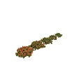 Colorful Flowers And Lush Plants Arranged In A Row For Garden Decoration