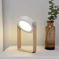 Modern Table Lamp With Spiral Shade Wooden Handle Metal Base On White Shelf Green Plant