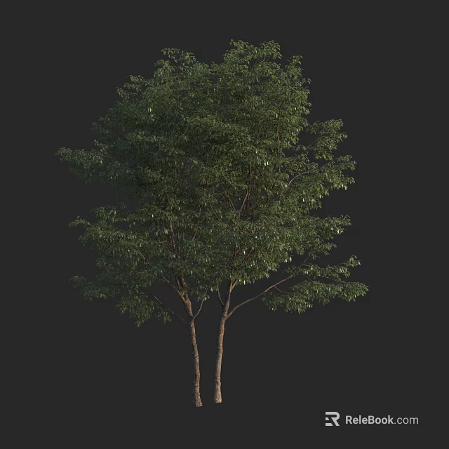 Lush Green Tree With Dual Trunks And Vibrant Foliage 3d model