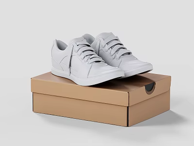 White Lace Up Sneakers Placed On A Brown Cardboard Box 3d model