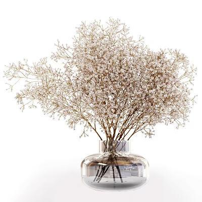 Elegant Transparent Glass Vase With Dried Baby's Breath Flower Arrangement 3d model
