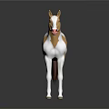 3D Model Horse With Brown And White Coat And Pink Nose Standing On Black Background