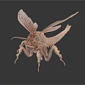 3D Rendered Fantasy Insect With Transparent Wings And Long Slender Legs On White Background