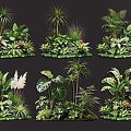 Indoor Outdoor Plant Combinations Featuring Tropical Greenery And Diverse Leaf Arrangements