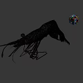 Cooked Whole Shrimp with Long Antennae and Curved Tail on Gray Surface