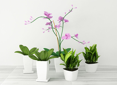 Modern potted plants and flowers tray 3d model