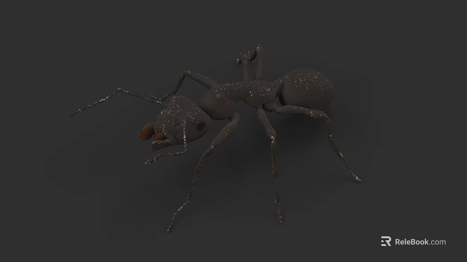 Detailed 3D Model of an Ant with Long Antennae Segmented Legs and Brown Mandibles 3d model 