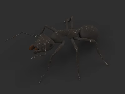 Detailed 3D Model of an Ant with Long Antennae Segmented Legs and Brown Mandibles 3d model