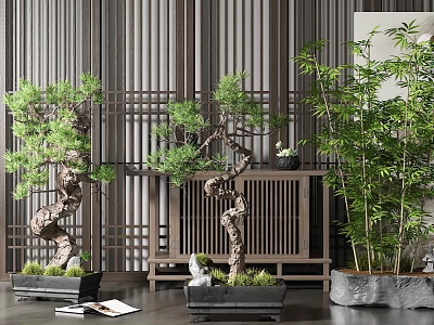 Elegant Bonsai Pine Trees and Potted Bamboo Decor with Wooden Lattice and Stone Accents 3d model