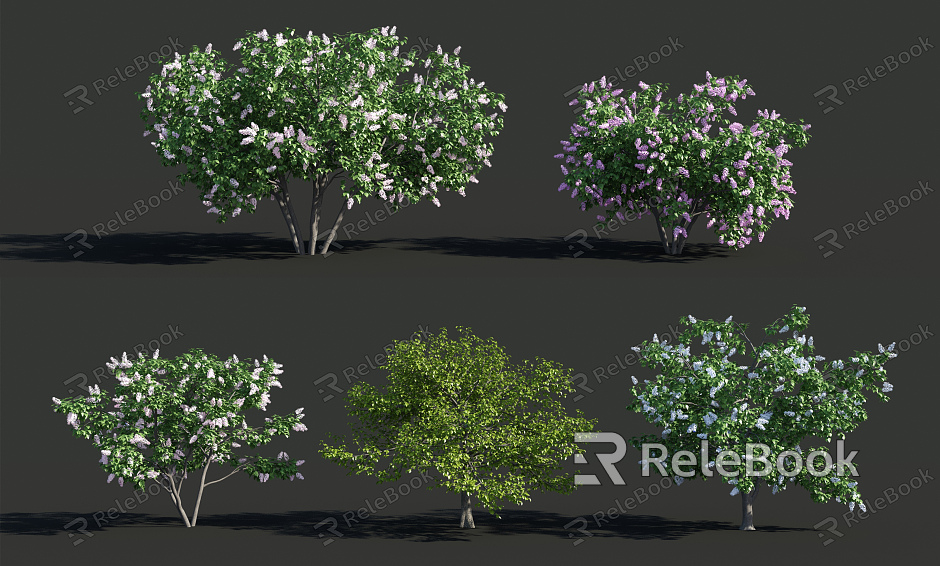 Modern shrubs model